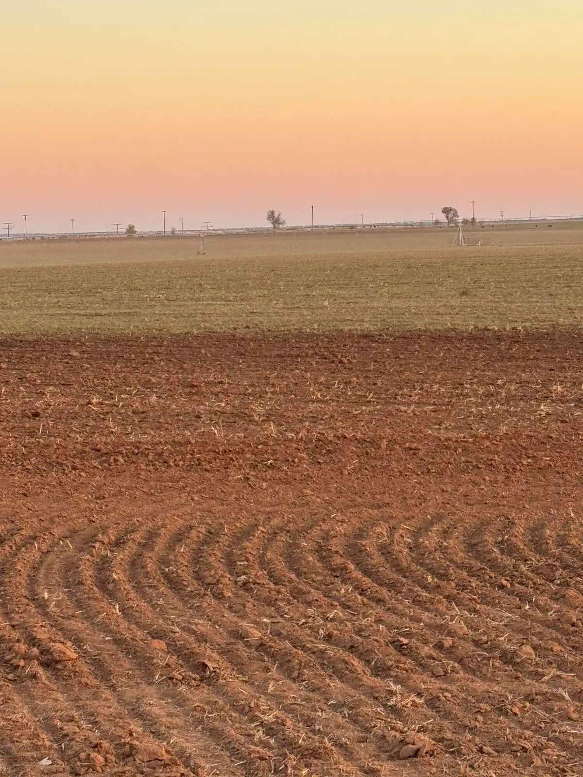 Fm 1548 Fm 1548, Wellington, TX 79095 - Image #1