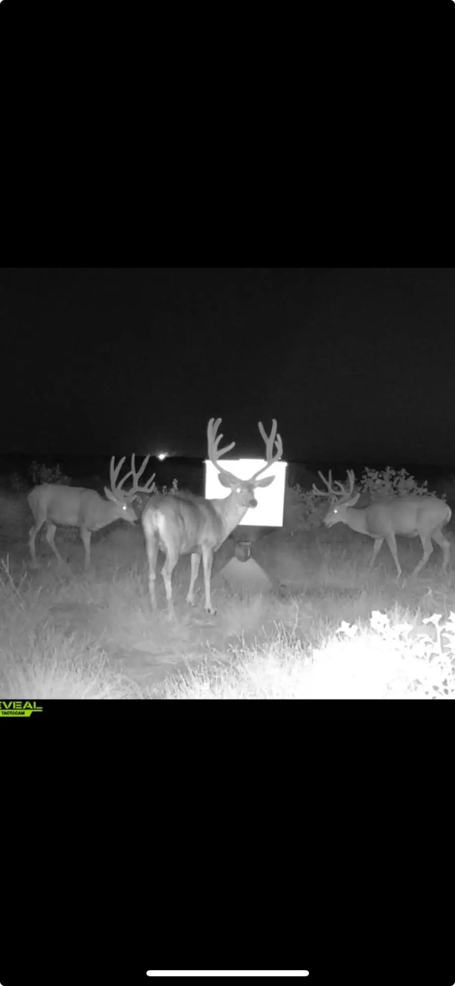 FM 2182 Fm 2182, Morton, TX 79346 - Image #1