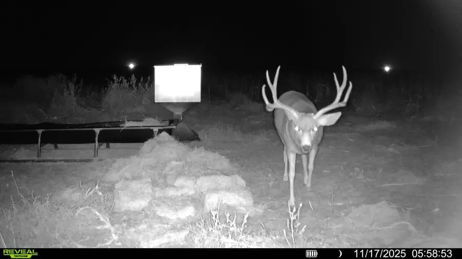 FM 2182 Fm 2182, Morton, TX 79346 - Image #2