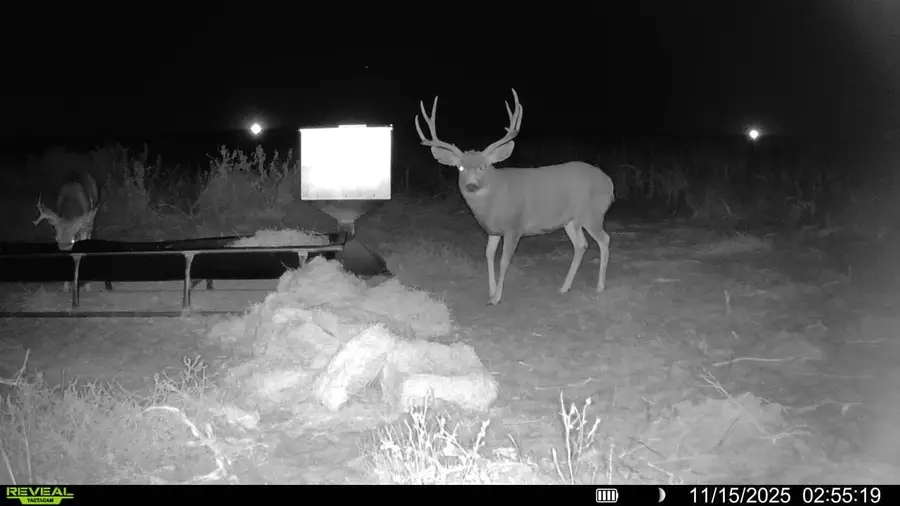 FM 2182 Fm 2182, Morton, TX 79346 - Image #3