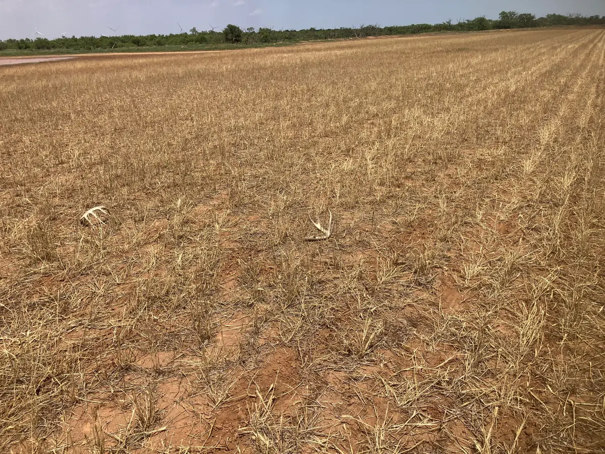 Cr 29, Tahoka, TX 79373 - Image #1