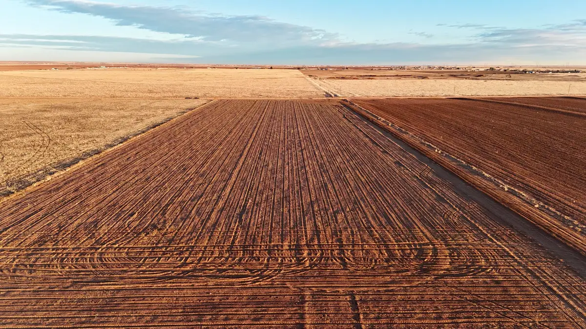 County Rd 5500, Shallowater, TX 79363 - Image #1