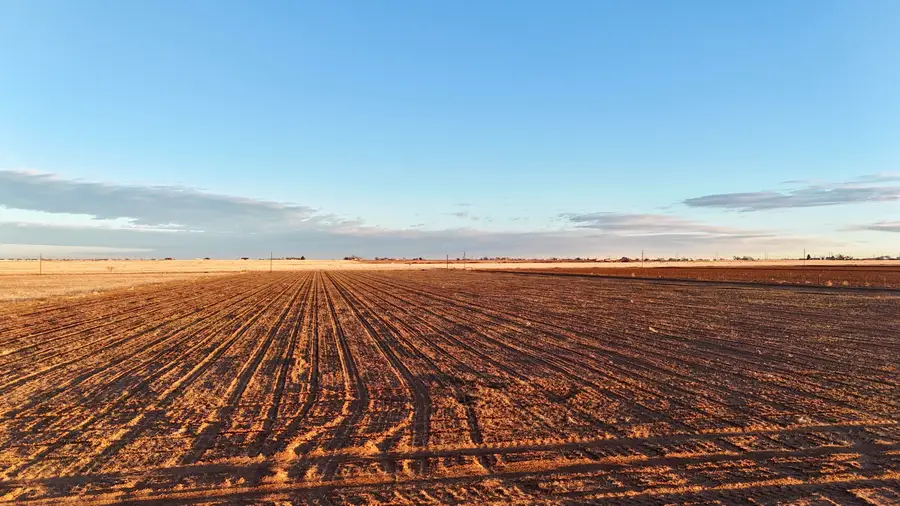 County Rd 5500, Shallowater, TX 79363 - Image #3