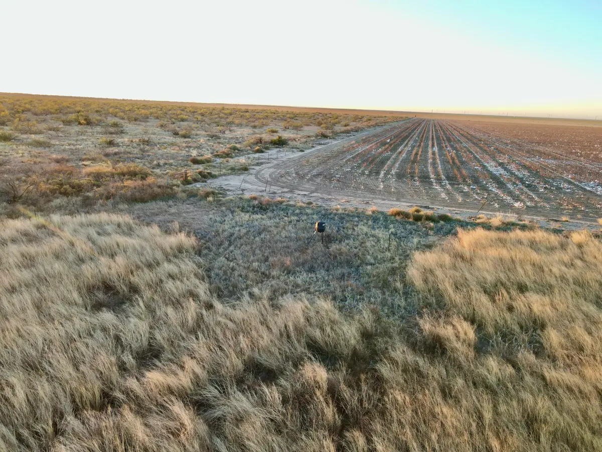 80 Acres County Road G, Silverton, TX 79257 - Image #1