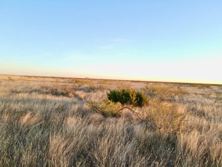 80 Acres County Road G, Silverton, TX 79257 - Image #3