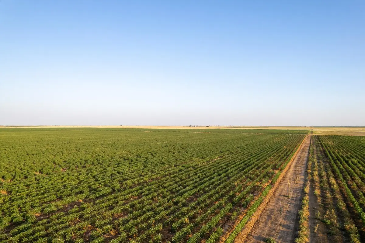 0 Shepard Street, Abernathy, TX 79311 - Image #1