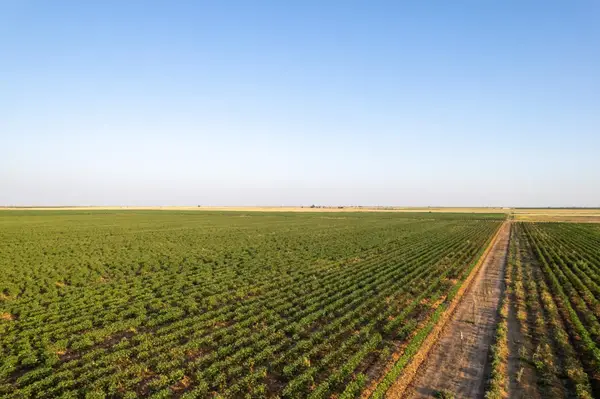 0 Shepard Street, Abernathy, TX 79311