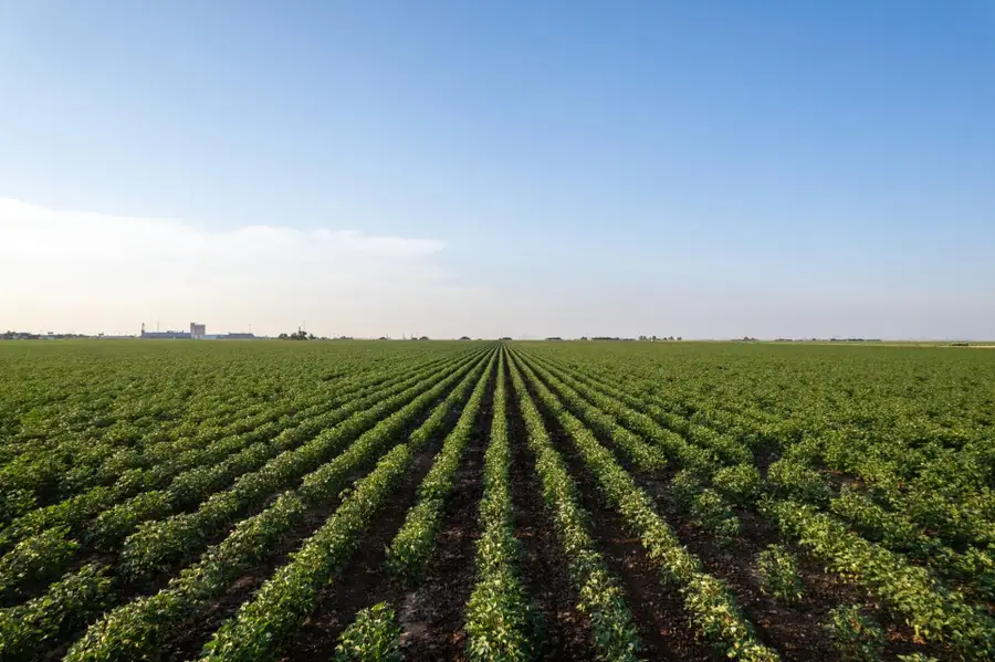 0 Shepard Street, Abernathy, TX 79311 - Image #2