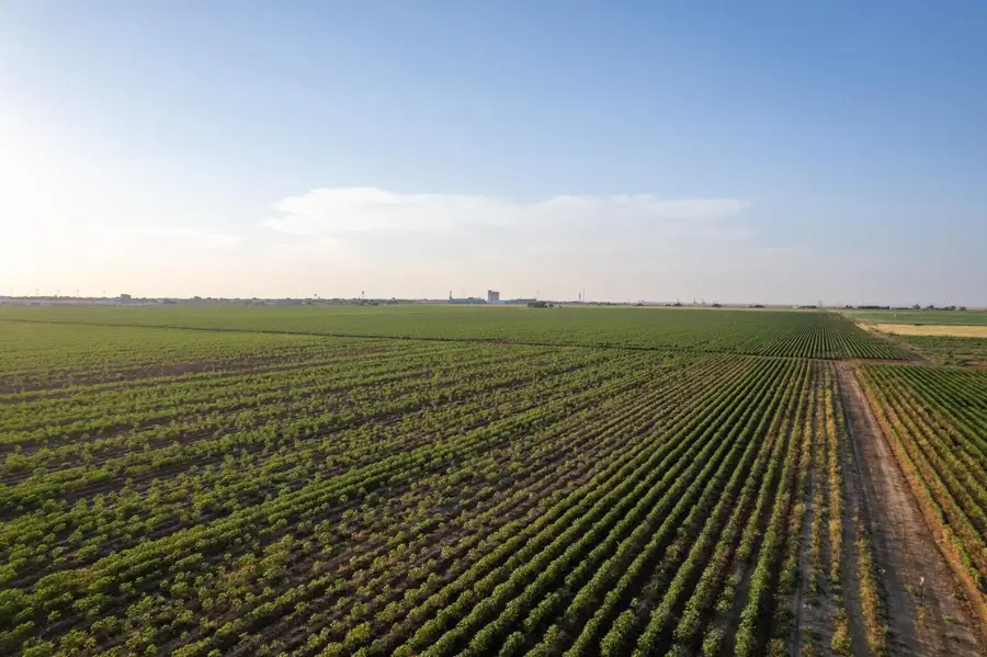 0 Shepard Street, Abernathy, TX 79311 - Image #3