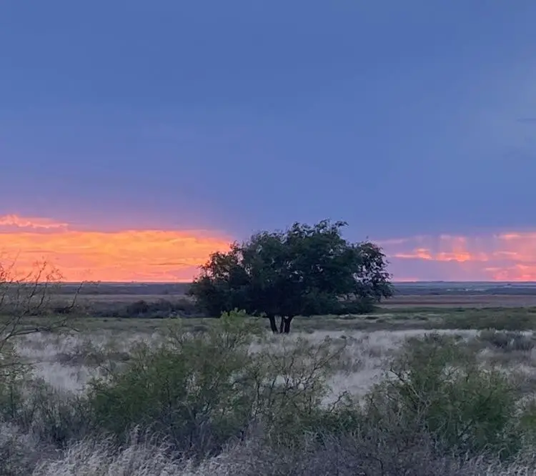 1825 County Road 595, Brownfield, TX 79316 - Image #2