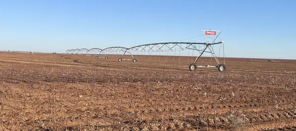 County Rd 19, Lamesa, TX 79331