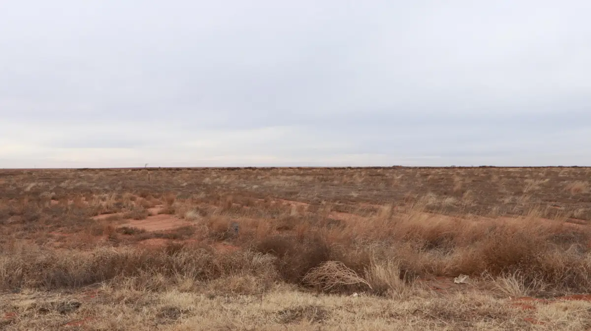 0 N 385 Highway, Whitharral, TX 79380 - Image #1