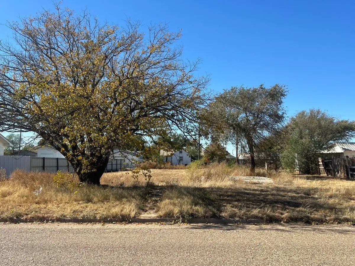 229 N Durham Avenue, Crosbyton, TX 79322 - Image #1