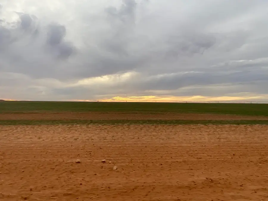 Cr 139, Loop, TX 79342 - #2