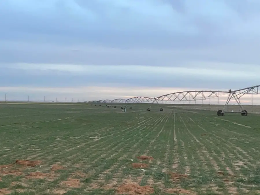 Cr 139, Loop, TX 79342 - #3