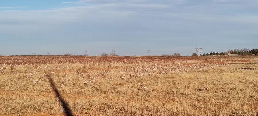 0 Cr 305 Lot 20, Wellman, TX 79378 - #3