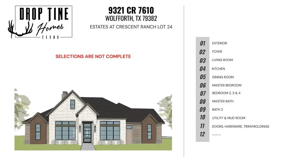 9321 County Road 7610, Wolfforth, TX 79382 - Image #2