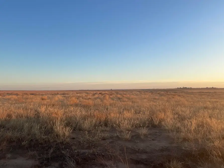 Cr 132, Loop, TX 79342 - #2