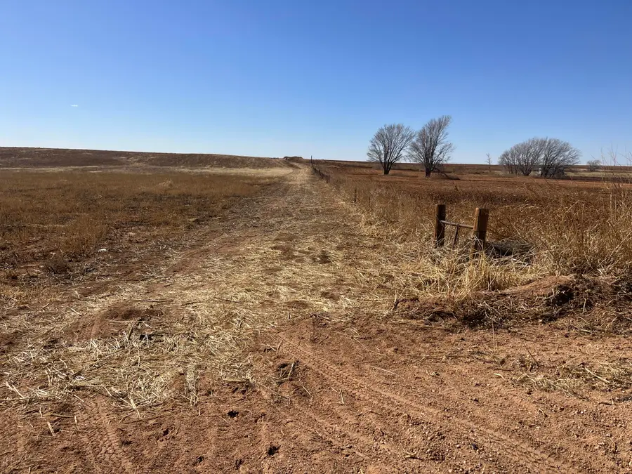 S Hwy. 87 Street, Lamesa, TX 79331 - #3