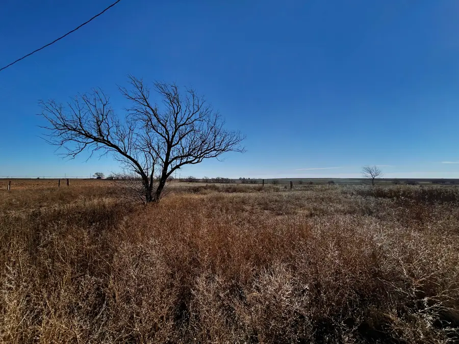 1343 Co Rd 222, Amherst, TX 79312 - #3