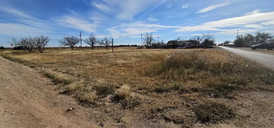 1305 Avenue P, Ralls, TX 79357 - #2