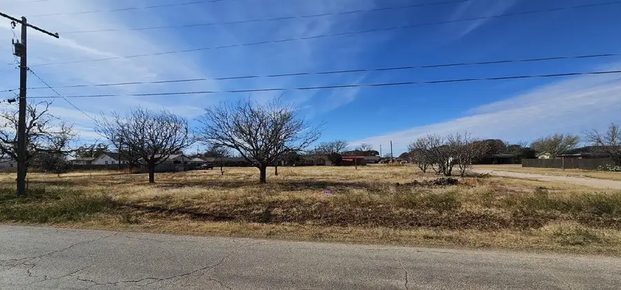 1305 Avenue P, Ralls, TX 79357 - #3