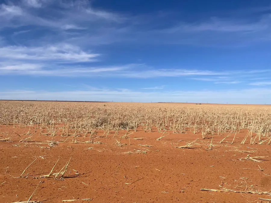 Farm-to-market Road Road 303, Brownfield, TX 79316 - #3