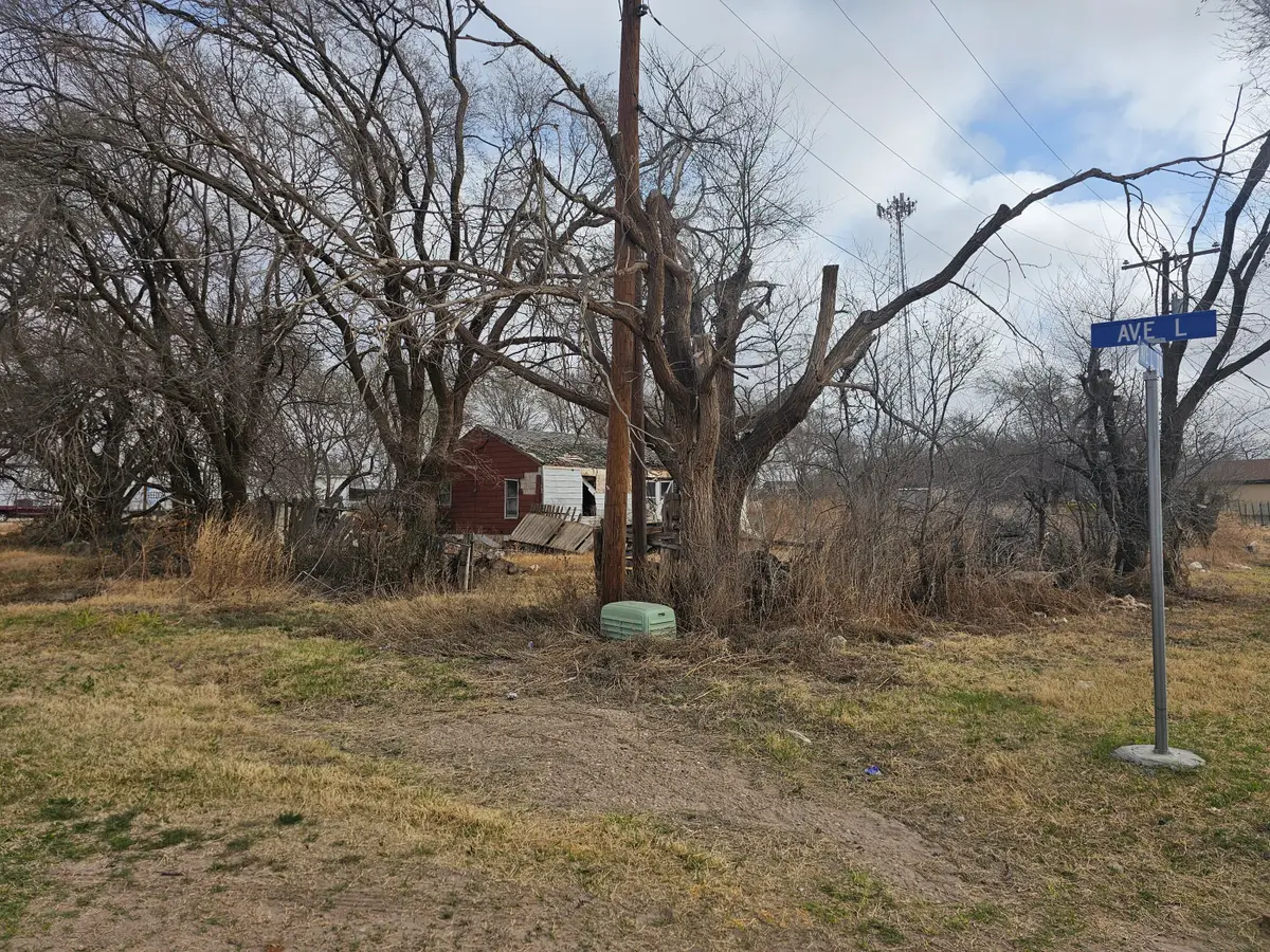 215 Avenue L, Shallowater, TX 79363 - #1