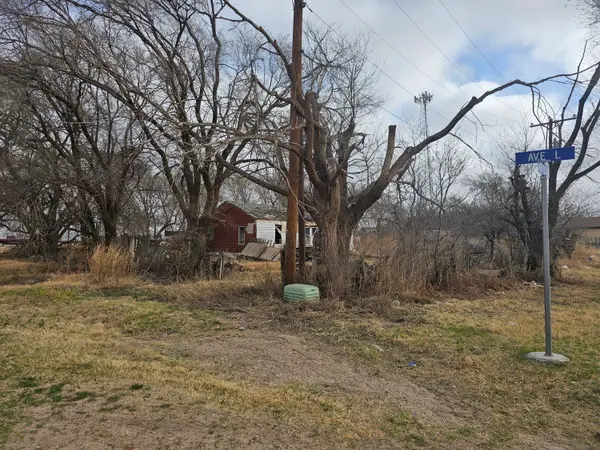 215 Avenue L, Shallowater, TX 79363