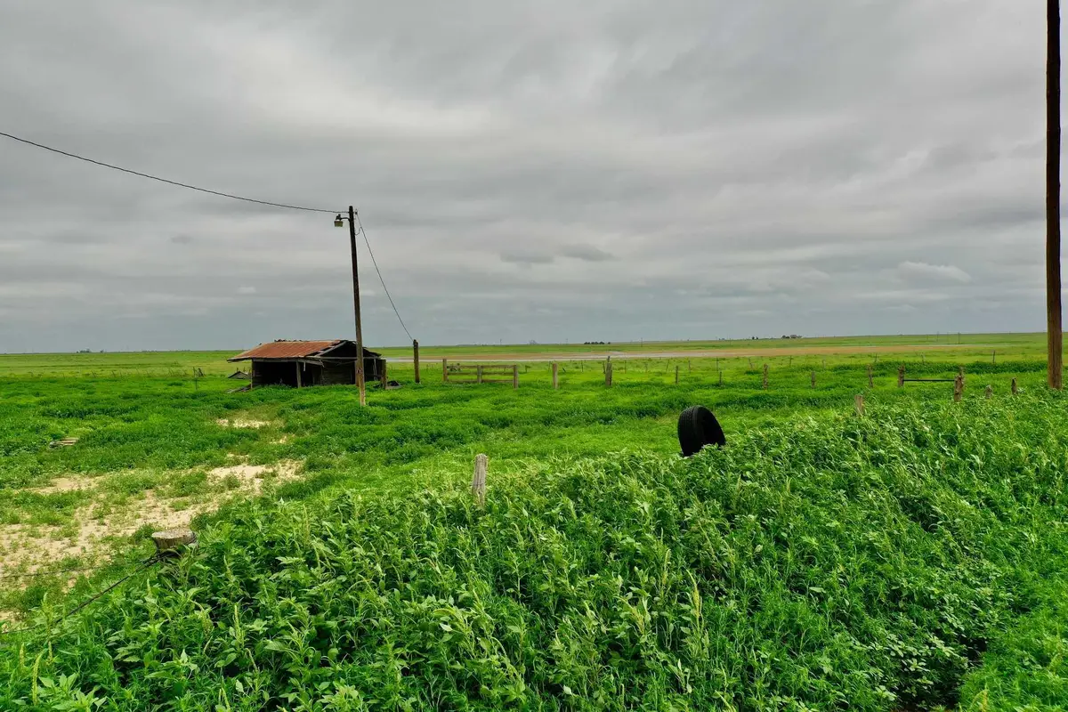 2015 Co Rd 9, Tulia, TX 79088 - #1