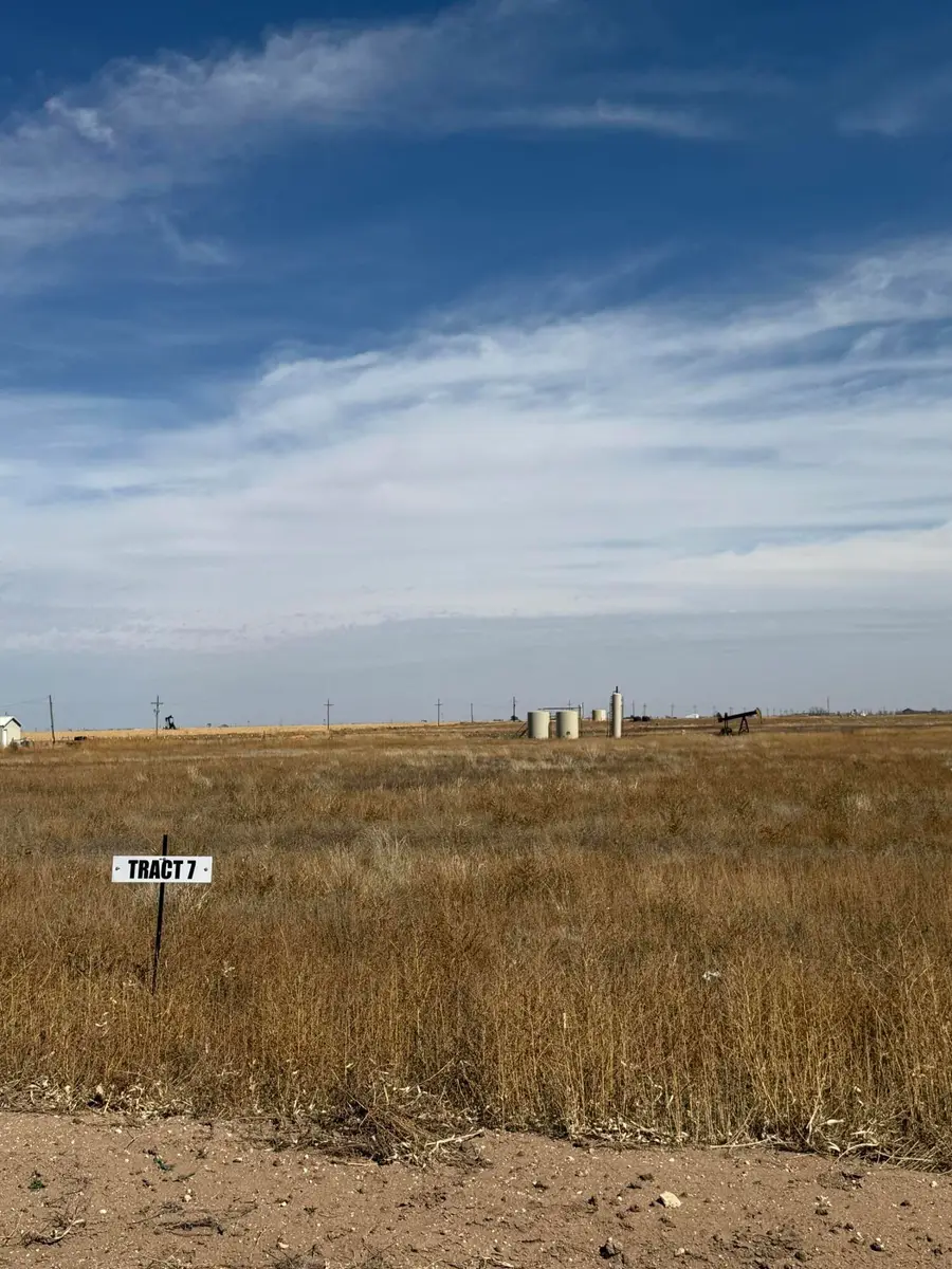 6810 County Rd 1100, Shallowater, TX 79363 - #2