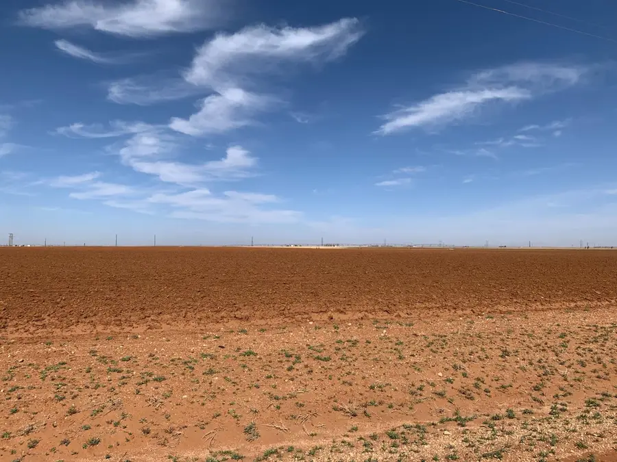 Dove, Ropesville, TX 79358 - #3