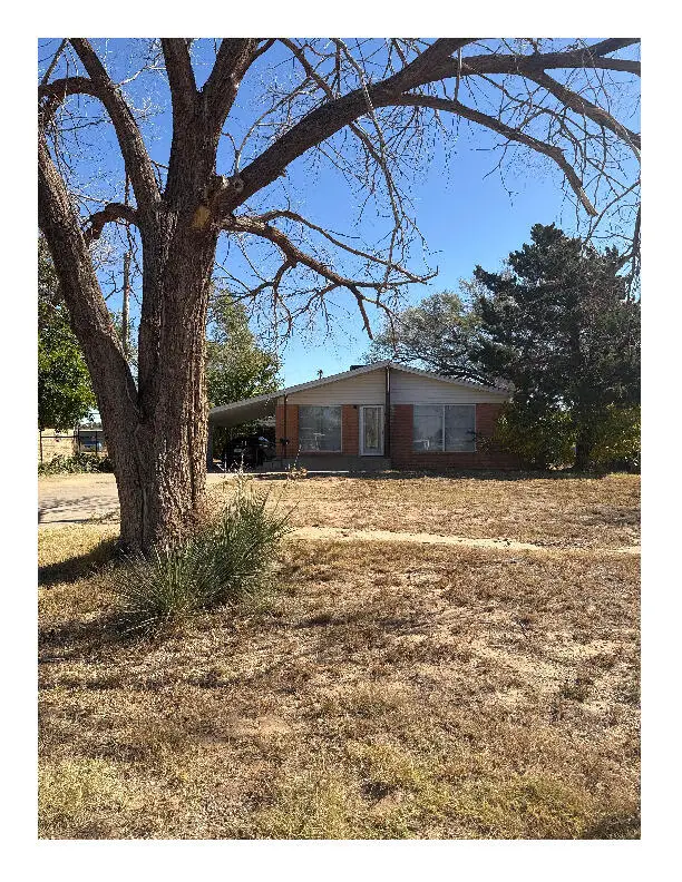 1719 Avenue I, Levelland, TX 79336 - #1