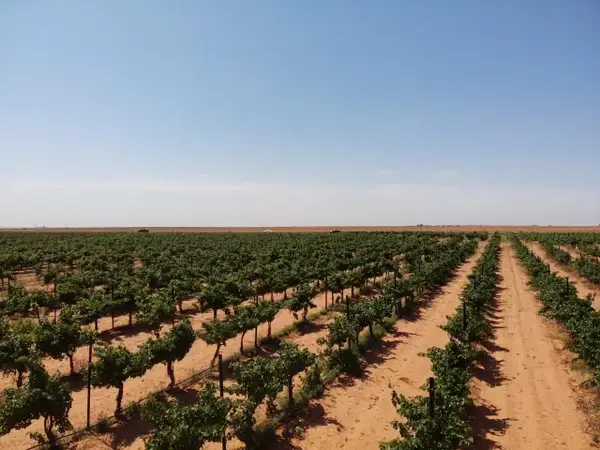 1 Us-380, Brownfield, TX 79316