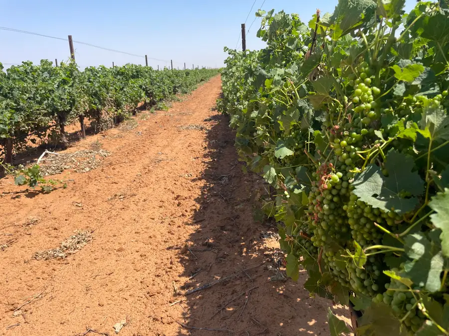 1 Us-380, Brownfield, TX 79316 - #2