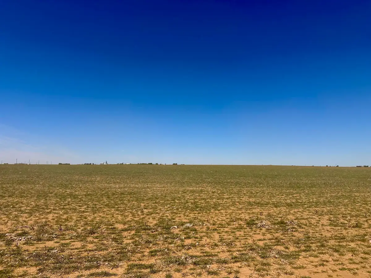 Rabbit, Ropesville, TX 79358 - #1