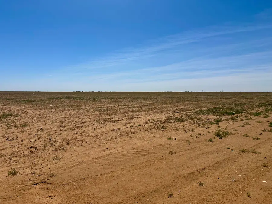 Rabbit, Ropesville, TX 79358 - #3