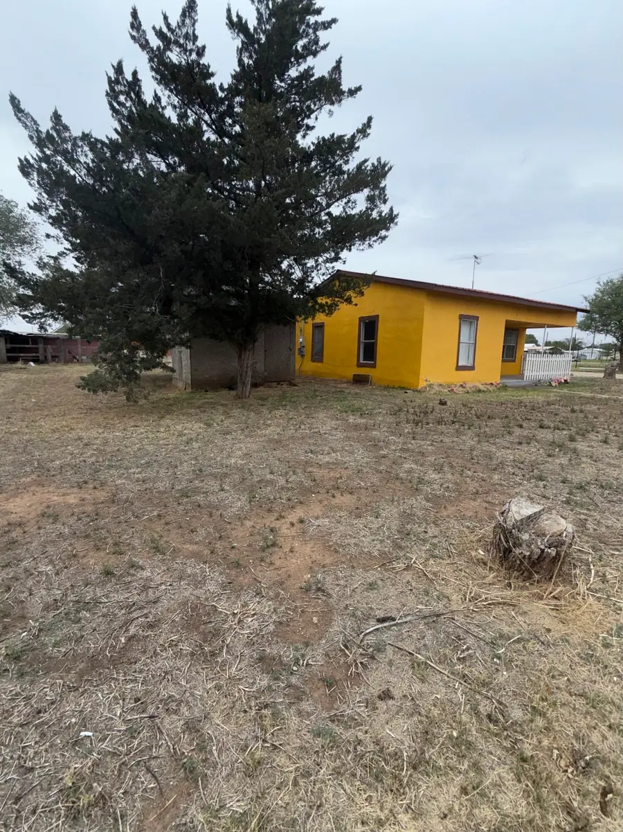 115 Duggan Avenue, Anton, TX 79313 - #2