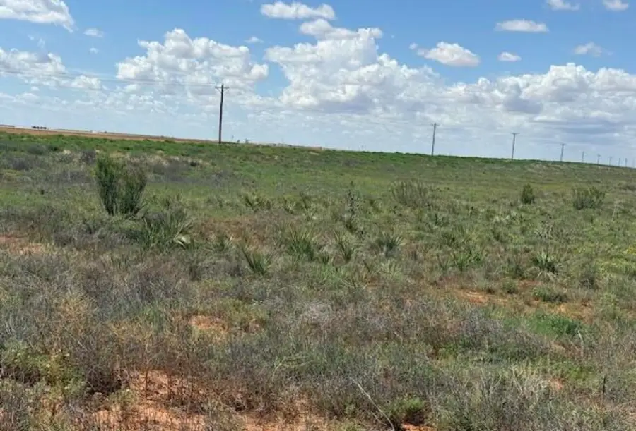 0 County Road 430, Brownfield, TX 79316 - #2
