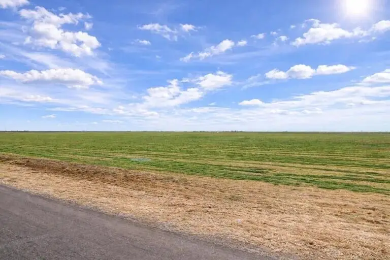 W Fm 2192, Wilson, TX 79381 - #2