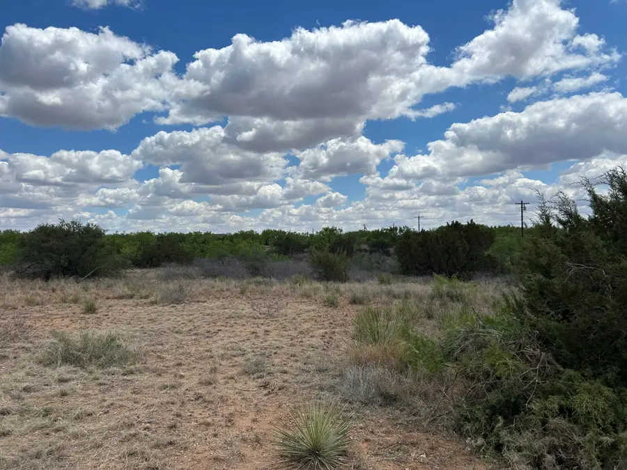 72-73 Fagan Road, Snyder, TX 79549 - #2