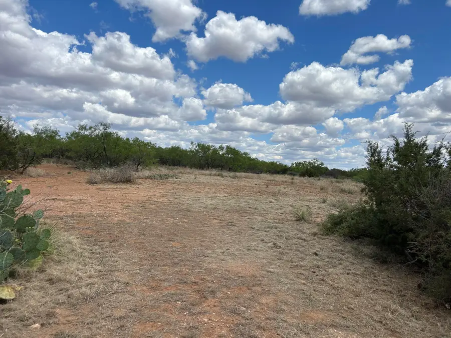 72-73 Fagan Road, Snyder, TX 79549 - #3