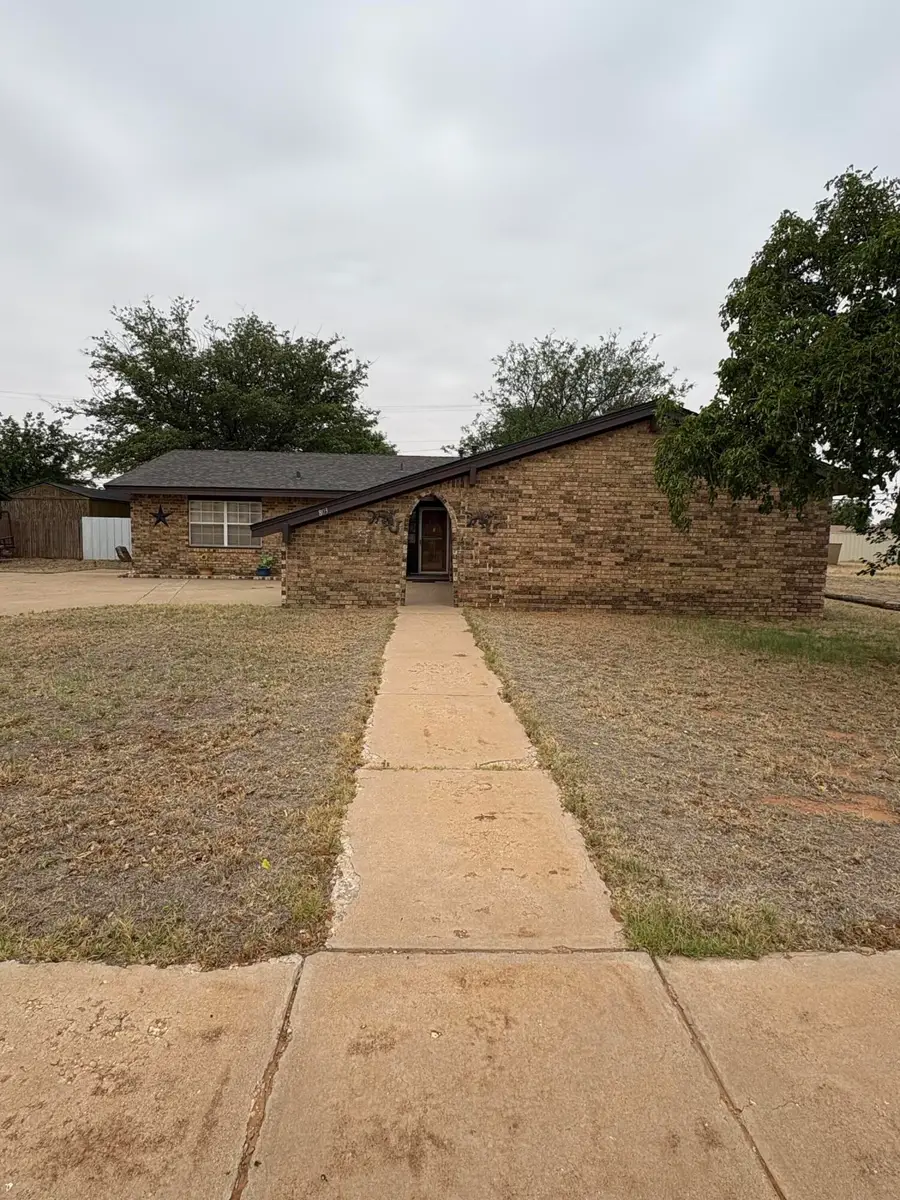 803 S Howell Street, Brownfield, TX 79316 - #2