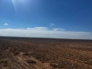 Farm To Market Rd 54, Abernathy, TX 79311 - #2