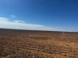 Farm To Market Rd 54, Abernathy, TX 79311 - #3