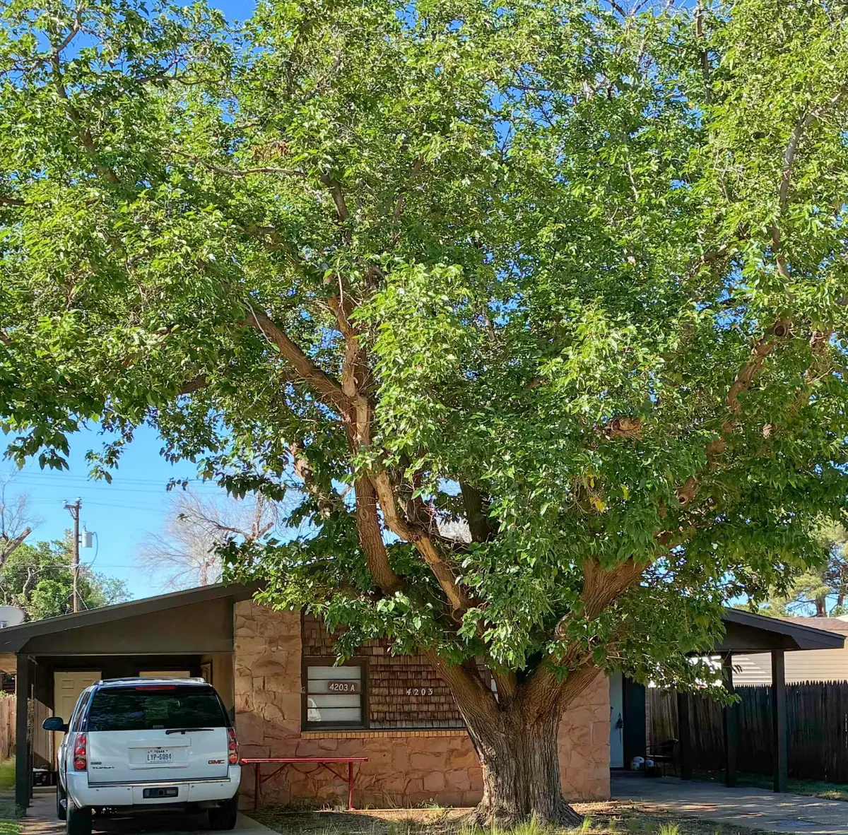 4203 17th Street, Lubbock, TX 79416 - #1