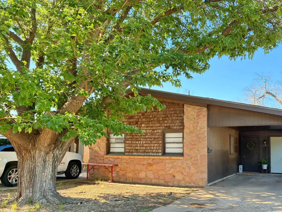 4203 17th Street, Lubbock, TX 79416 - #3