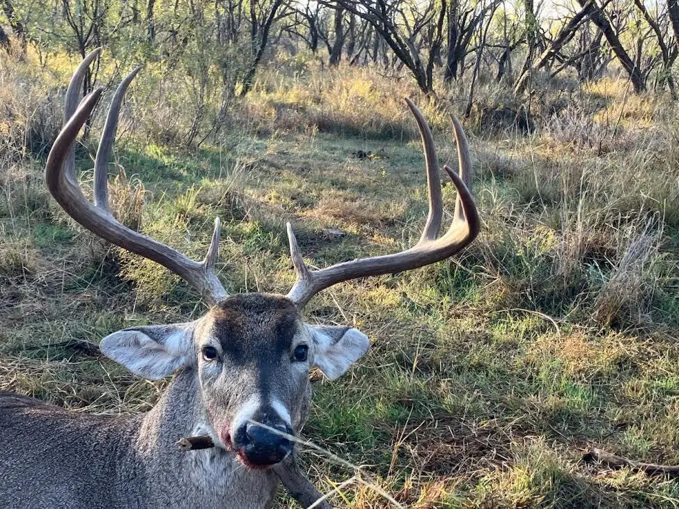 Texas 92, Hamlin, TX 79520 - #1