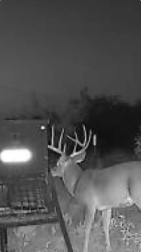 Texas 92, Hamlin, TX 79520 - #3