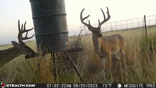 County Road 7, Turkey, TX 79261